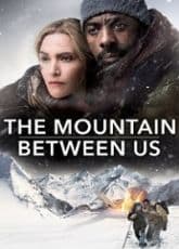 The Mountain Between Us