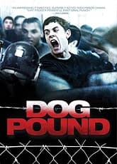  Dog Pound