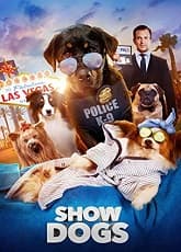  Show Dogs