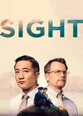 Sight