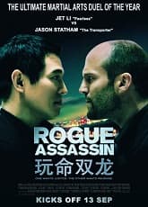 Rogue Assassin