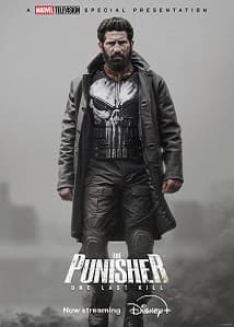 The Punisher: One Last Kill