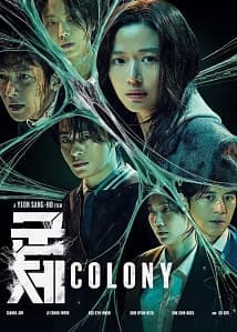 Colony