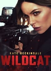 Wildcat
