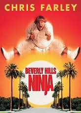 Beverly Hills Ninja