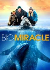 Big Miracle