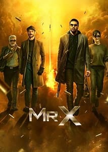 Mr X 