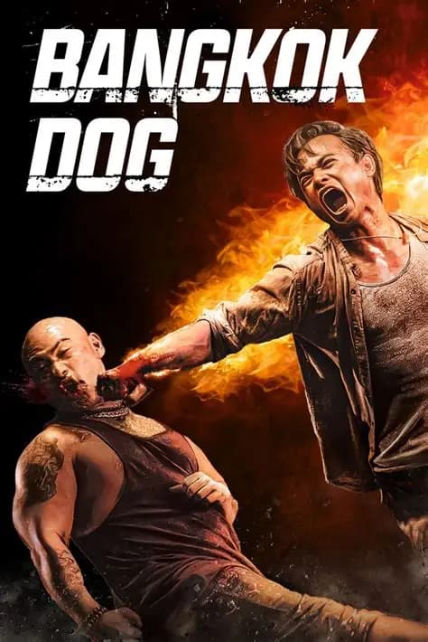 Bangkok Dog