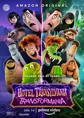 Video poster