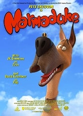 Video poster