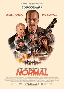 Video poster