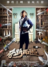 Video poster