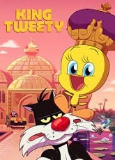Video poster