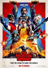 Video poster