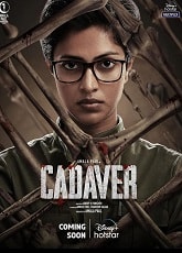 Video poster