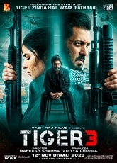 Video poster