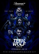 Video poster