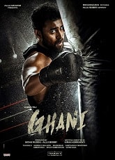 Video poster