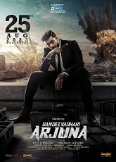 Video poster