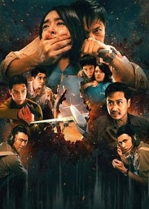 Video poster