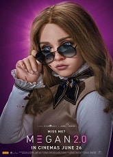 Video poster