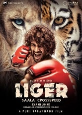 Video poster