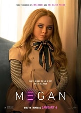 Video poster