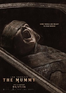 Video poster