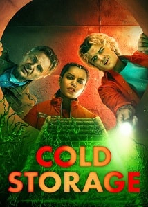 Video poster