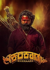 Video poster